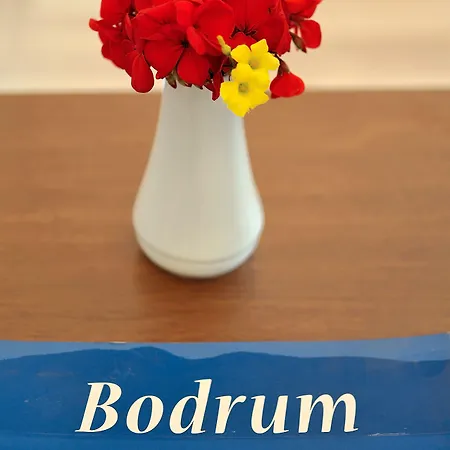 The Life Hill Ξενοδοχείο Αλικαρνασσός